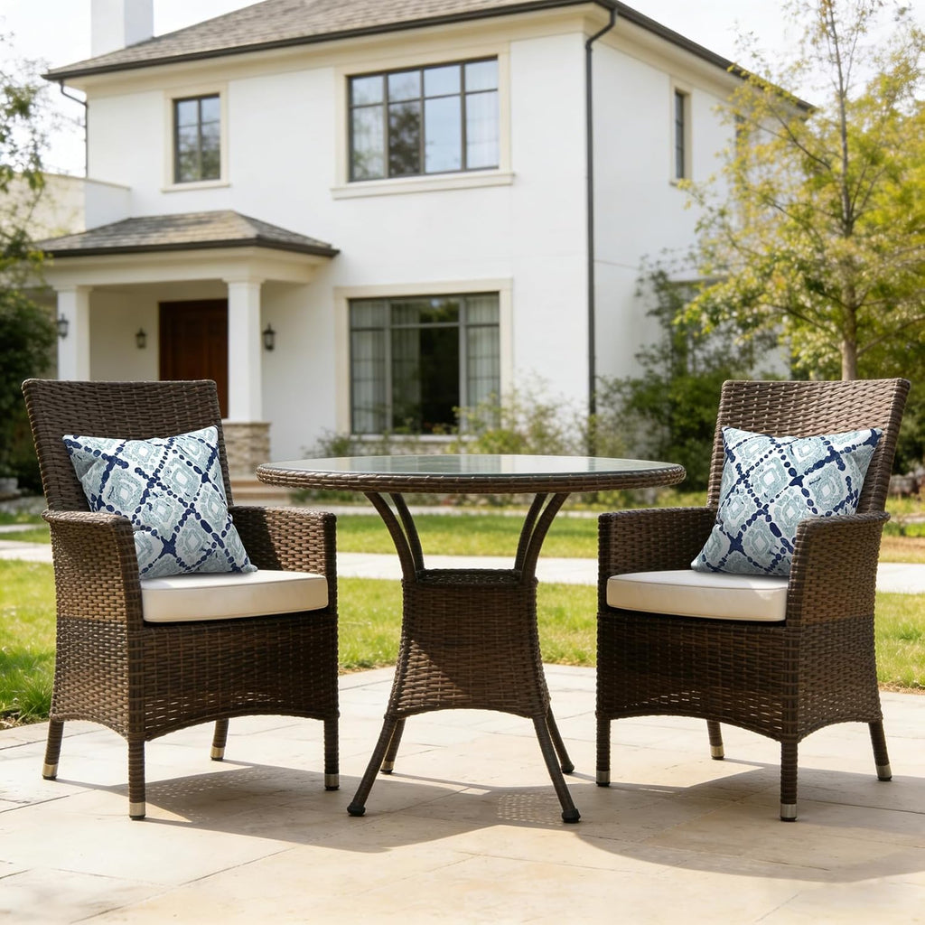 Outdoor Throw Pillows Set of 2
