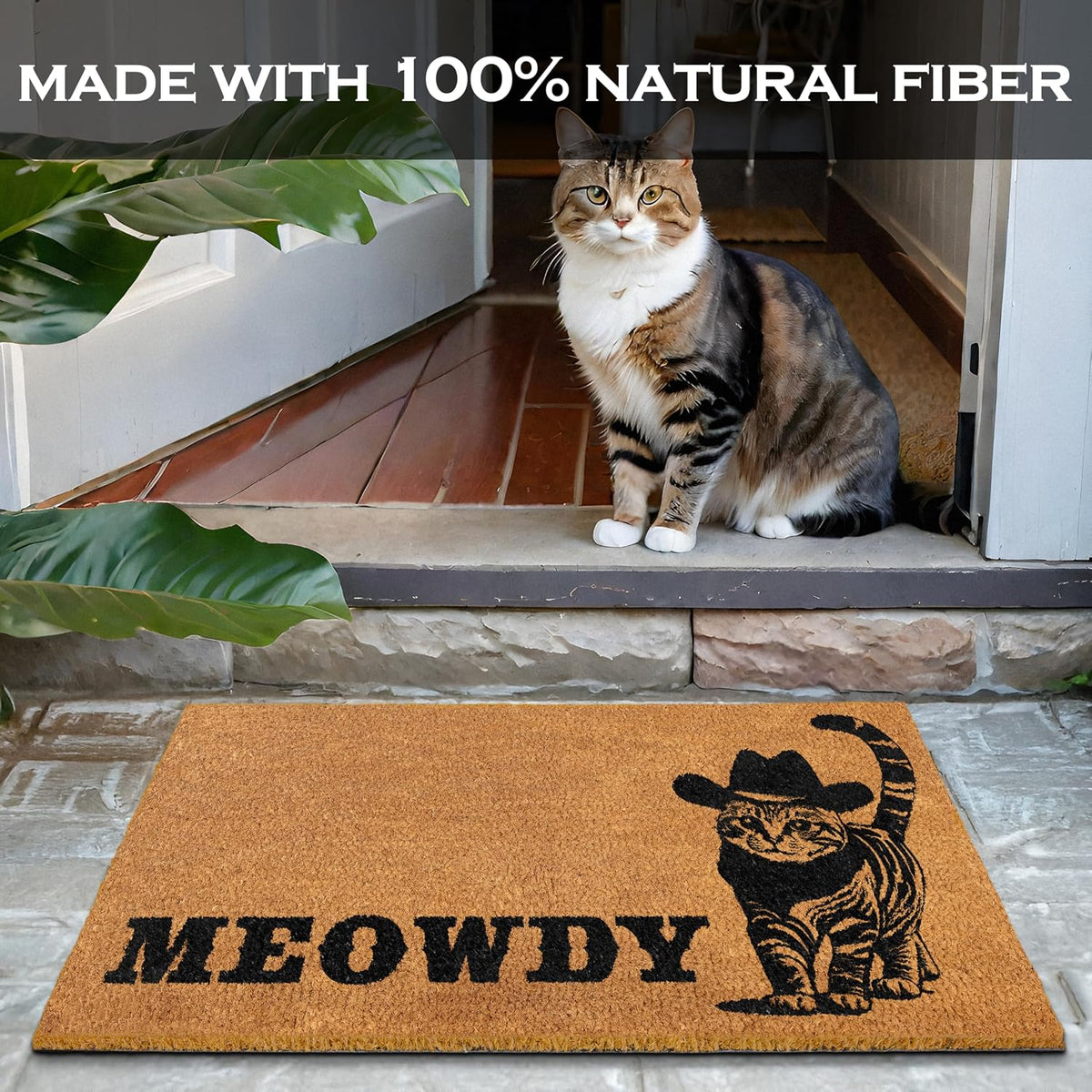 Coir Doormat 30x17 Inch